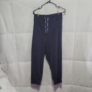 Torrid 5x Happy Camper Joggers